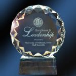 excellence in leadership award